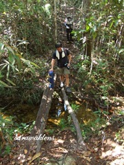 Teluk_Limau_Trek_Bako_National_Park_20