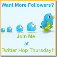twitter follow