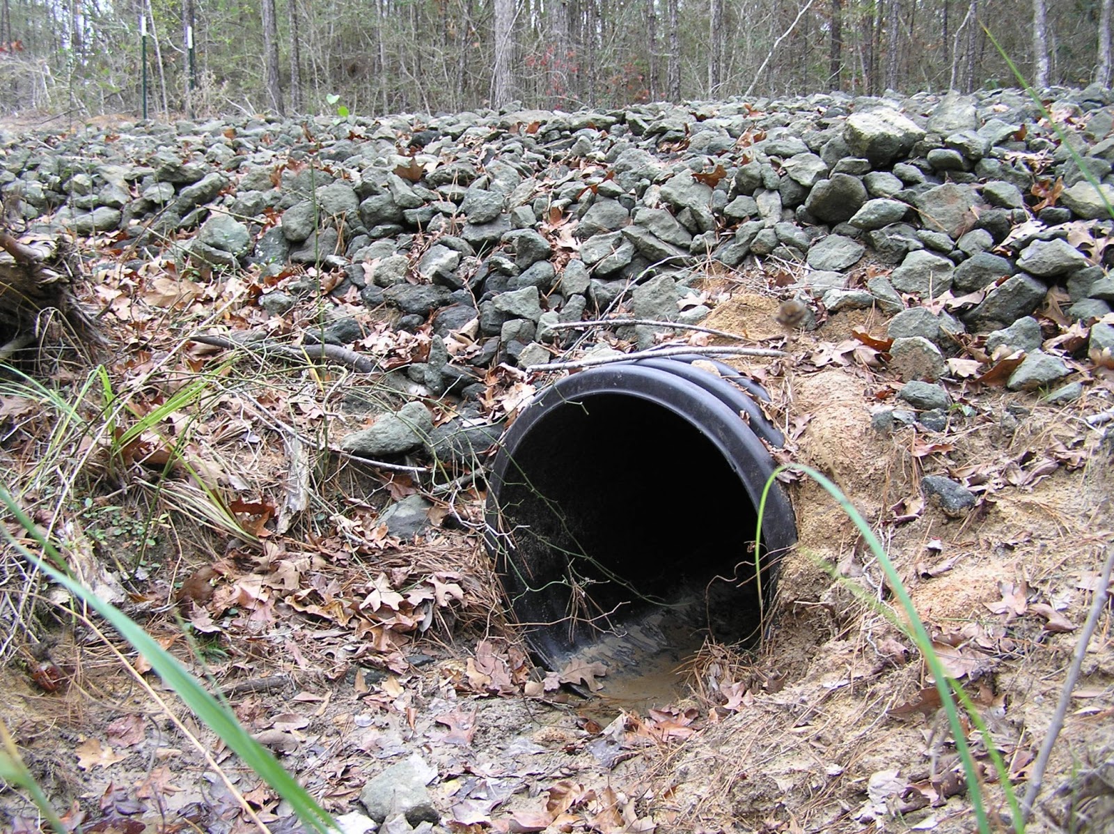 Culverts: where the water meets the road