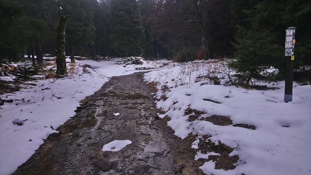 Sauerland wandern Wetter blog Uplandsteig Hunauweg X25 Uplandweg X15 Höhenflug Medebach