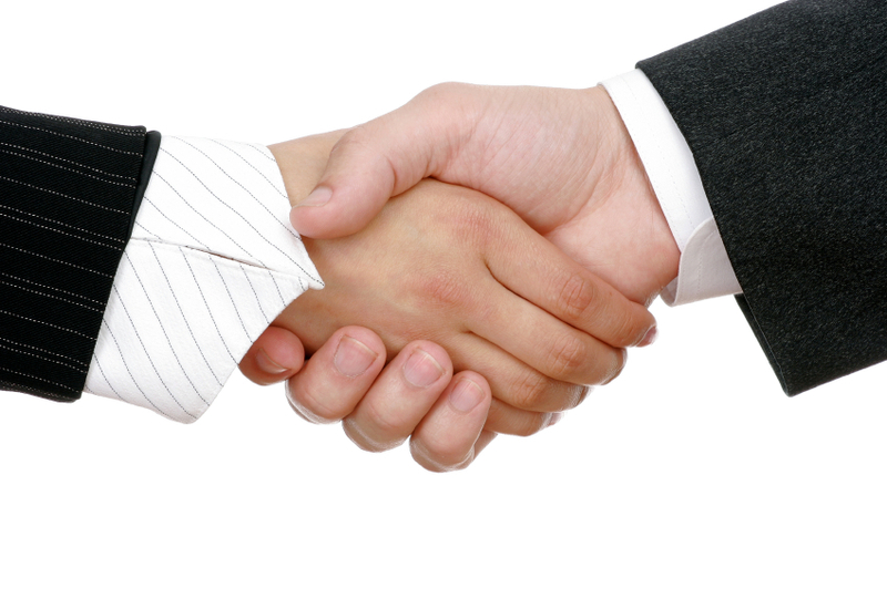 business people handshake. that some usiness people