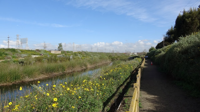 Dominguez Gap Wetlands