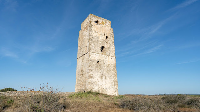 Una gran torre que surge de la vegetación baja con el cielo azul de fondo.