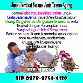 Wafak Sesama Jenis Tresno Agung