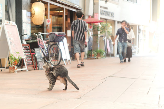 ジョイフル三の輪商店街