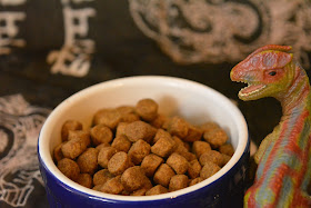 dog food and dinosaurs