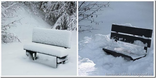 bench1
