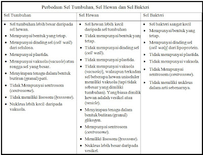 https://blogger.googleusercontent.com/img/b/R29vZ2xl/AVvXsEj7l75LX6ZOcR0BZatqlkIvvJXOQheFpobl7jHV1uvFakxDluq3SixglEtOkrPXEGKThY7ee7Te55tXs1bLjt_NNR6mJQ7tEFyq_KJ5SS41uO3TufN6Q4UVGH65MSCv3RJbEZuf1fbzLUan/s1600/BEDA+SEL+HEWAN+TUMBUHAN+DAN+SEL+BAKTERI.bmp