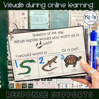 Visual Supports During Online Learning in Special Education