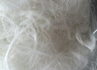 PET Filament / Birdnest