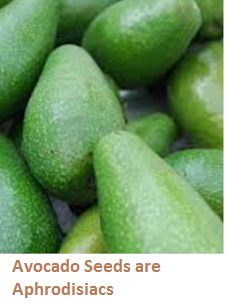 Avocado Seeds are Aphrodisiacs