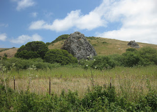 Boulder in a field along Marshall Petaluma Road, near Petaluma, California