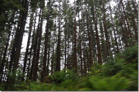 Driving through Wa 041