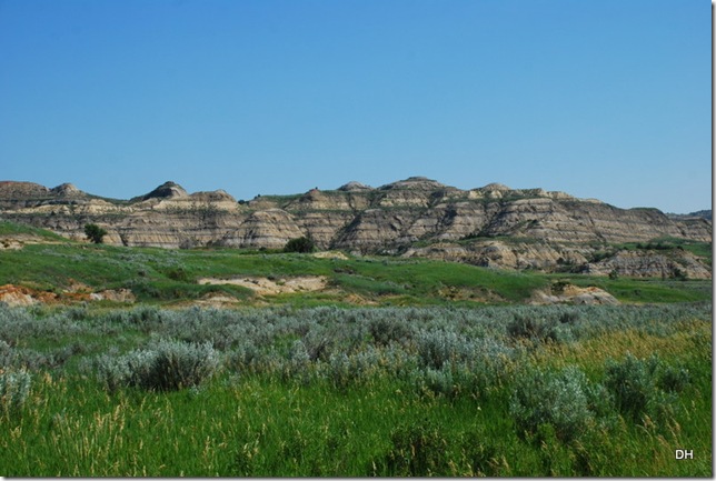 07-03-13 A Teddy Roosevelt NP North (32)