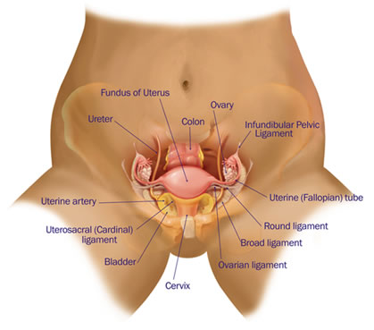 स्त्रियों में होने वाले सामान्य रोग योनि में खुजली हो जाना,योनि का तंग हो जाना,योनि का शिथिल या ढीली  हो जाना,योनि में घाव होना,जरायु या गर्भ प्रदाह