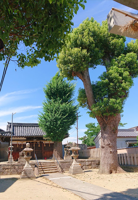 若林神社(松原市)