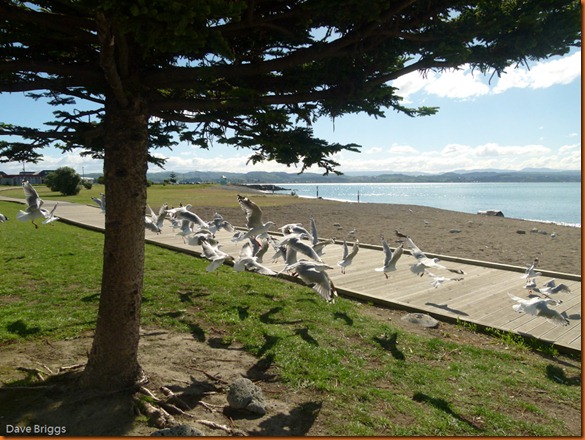kayakdownundernzleg2-1030253