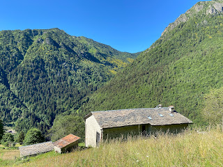 At the beginning of the trial and a view of Val Sanguigno with the yellow of Laburnum visible.