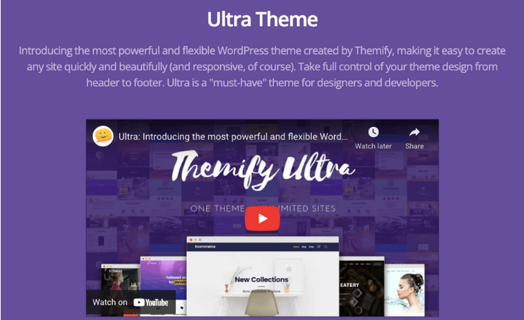 OrbitBrain: The Best and Most Popular WordPress Themes of 2022