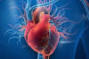 Terkait Penyakit Jantung, Dokter Ungkap hal Ini 