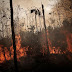 Βραζιλία: Ο υψηλότερος αριθμός πυρκαγιών τα τελευταία 13 χρόνια καταγράφηκε τον Ιούνιο στον Αμαζόνιο