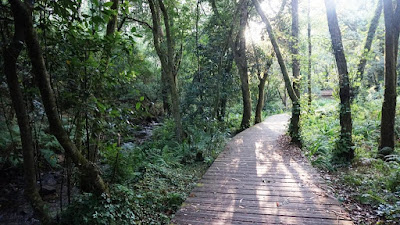 Paseo Fluvial del Río Negro