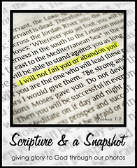 scripture snapshot