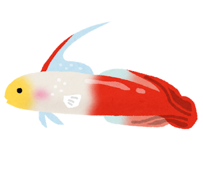 ハタタテハゼのイラスト（熱帯魚）