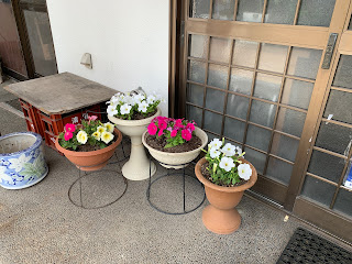 お店の前の花