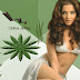 Hot Actress Celina Jaitley Bikini HD Wallpapers – bollywood celebrity Celina Jaitley Spicy Photo Gallery