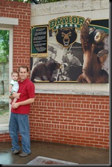 baylor bear-9