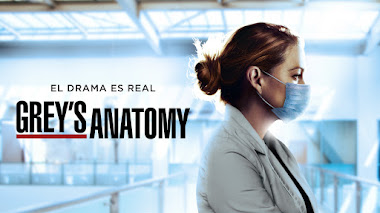 Grey's Anatomy Temporada 17