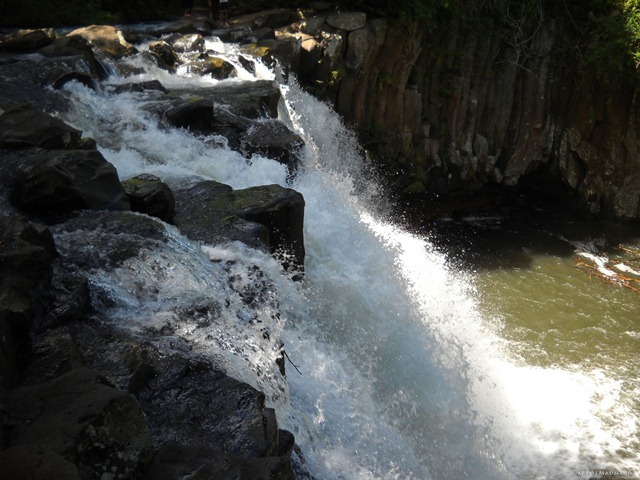 DSCN3874