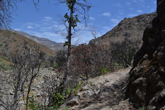 hard spot along the trail