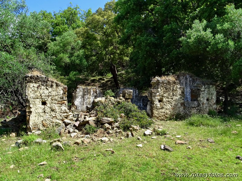 El Colmenar - Camino de los Arrieros - Puerto de los Peñones - Puerto de la Venta - Garganta de Los Charcones