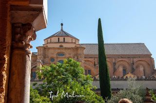 cordoba kurtuba ispanya spain - gezi seyahat blog mezquita cami