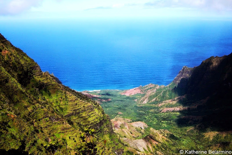 Pihea Trail View of Kalalau Valley Kauai Hawaii