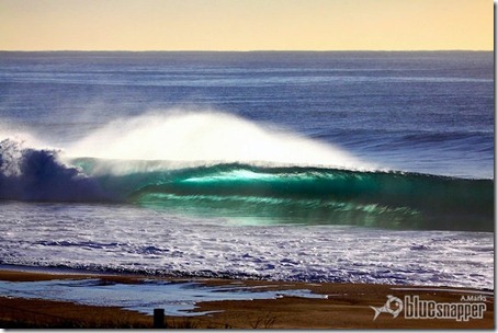 Northern Beachs. Foto: Alex Marks