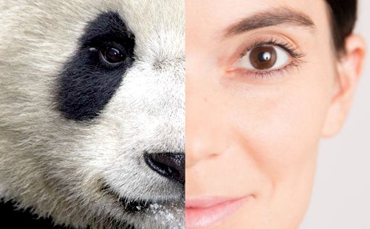 cara menghilangkan mata panda atau kantung mata