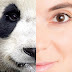 Cara Menghilangkan Mata Panda Kurang Dari 30 Menit