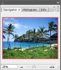 gambar palet navigator photoshop 1