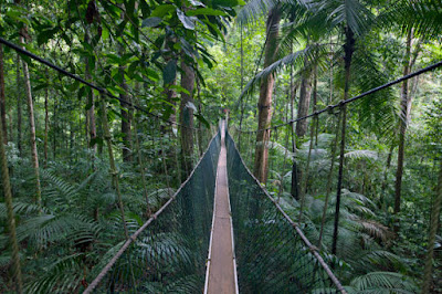 حديقة تامان نيجارا الوطنية على قائمة أفضل أماكن سياحية في ماليزيا