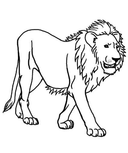 Printable Lion Coloring Sheets