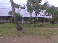 education school islam,islamic school,lombok islmic school,lombok islamic center,center school in lombok