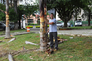  Empresário Antonio Hermida, um dos voluntários do movimento Amigos da Praça