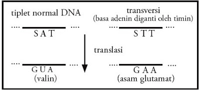  Transversi terjadi apabila basa pirimidin digantikan oleh basa purin Pintar Pelajaran Pengertian dan Contoh Transversi DNA (Genetik), Penyebab Mutasi Gen