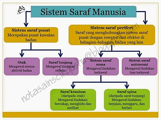Nota Sains Tingkatan 4 Kssm 2020