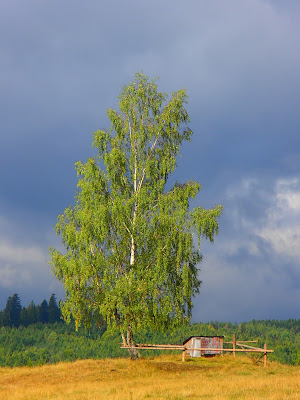 Orawa, Lipnica Wielka, grzyby na Orawie, grzyby września, bacówka, oscypki, bundz