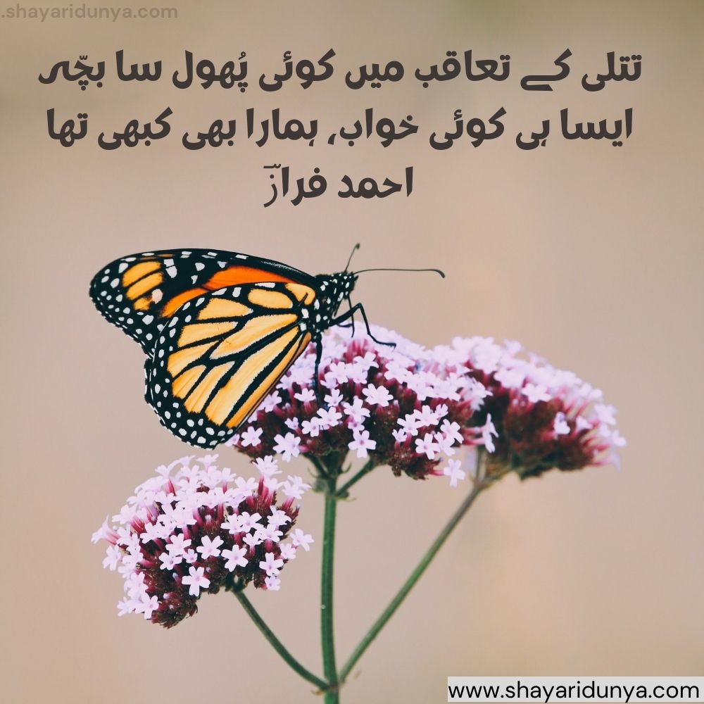 titli shayari in urdu | Butterfly Shayari | butterfly quotes | titli shayari in urdu  | titli quotes in urdu