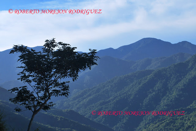 Laderas de montañas en la Sierra Maestra/ Mountain slopes in Sierra Maestra, Cuba